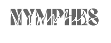 Nymphes